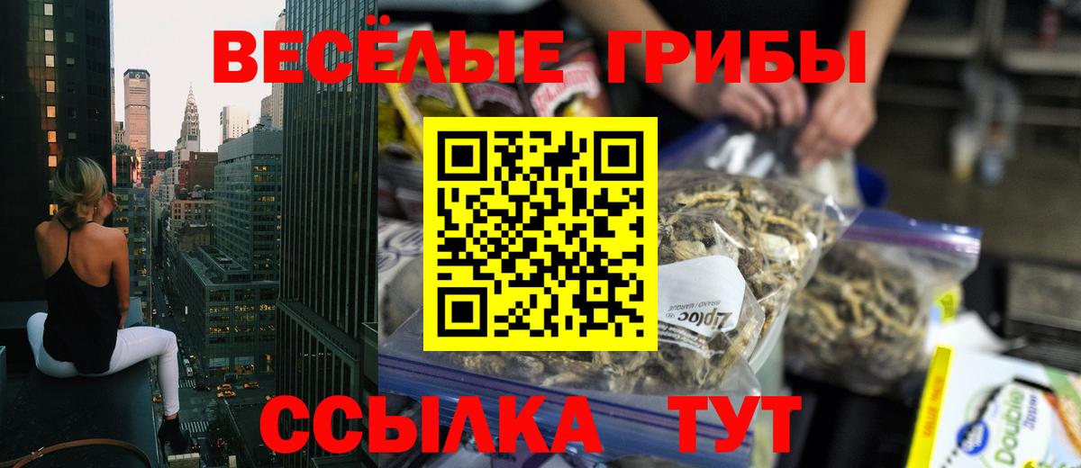 Новоалтайск  Псилоцибиновые грибы Magic Shrooms  Вход с VPN 